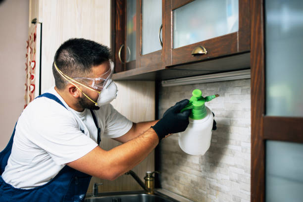 Best Pest Control for Restaurants  in Wauseon, OH