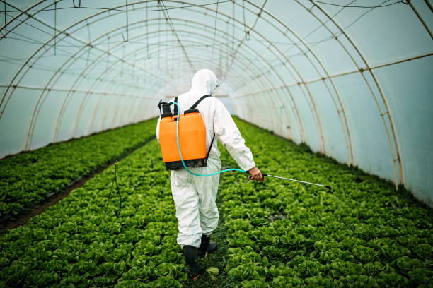 Best Pest Prevention Services  in Wauseon, OH