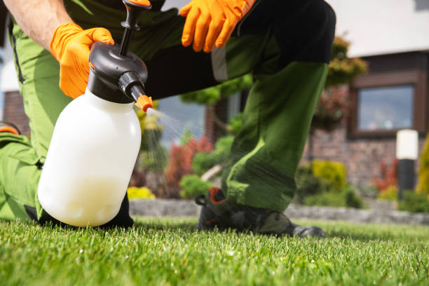 Pest Control for Restaurants in Wauseon, OH