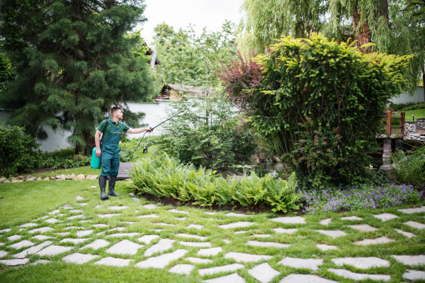 Best Ant Control Services  in Wauseon, OH