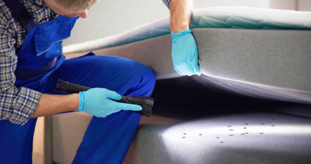 Best Emergency Pest Control  in Wauseon, OH