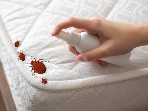 Flea Control Services in Wauseon, OH