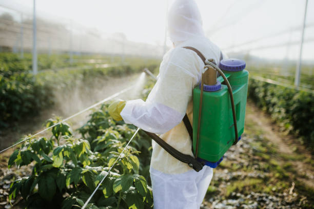 Best Exterminator Services  in Wauseon, OH